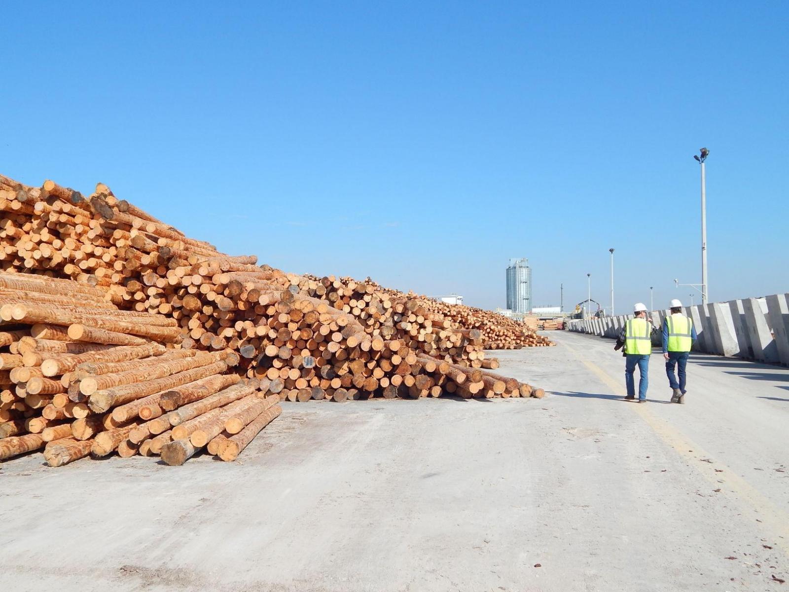 NMTC Greenline Ventures